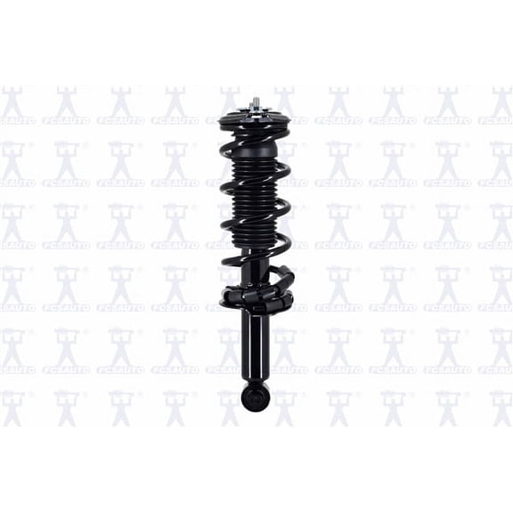 Suspension Strut and Coil Spring Assembly