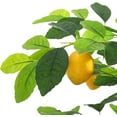 thumbnail image 3 of Acekid 5FT Artificial Lemon Tree, Fake Lemon Plant with Lights, Faux Lemon Tree with Realistic Trunk and Fruits, Suitable for Indoor Home Decoration, 3 of 9