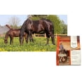 thumbnail image 3 of UltraCruz Equine Natural Vitamin E®, Powder, 4 lb, 3 of 4