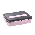 thumbnail image 1 of Stainless Steel Thermal Lunch Box Layers Multi Grids Tableware Students School Adult Lunch Boxes Spoon Chopsticks Storage Box pink-2500ml, 1 of 6