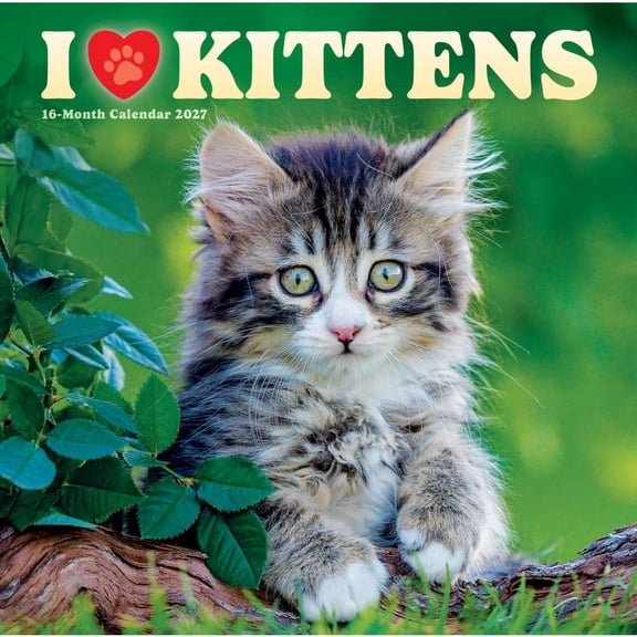 Carousel Calendars, I Love Kittens 2027 Wall Calendar