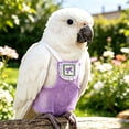 thumbnail image 4 of Reusable Bird Diaper for Parrot, Pigeon Waste Catcher Wrap with Adjustable Fit, Avian Hygiene Suit for Indoor Use, Party Costume Photo Prop, 4 of 4