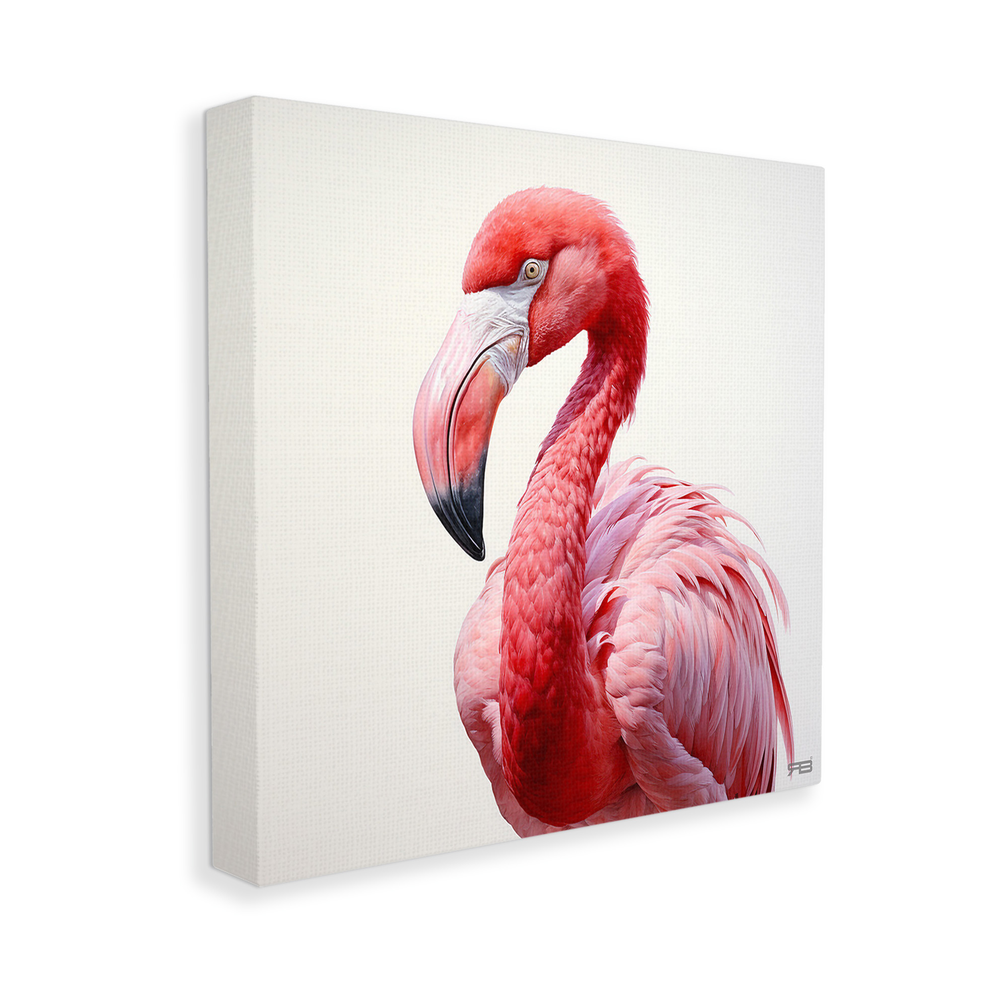 Stupell Industries Traditional Flamingo Portrait Animals & Insects Painting Gallery Wrapped Canvas Art Print Wall Art, 24 x 24