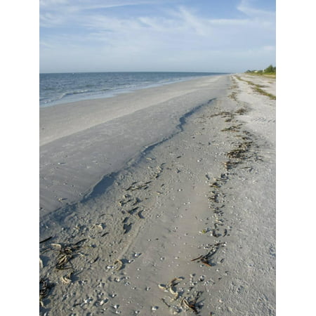 Beach, Sanibel Island, Gulf Coast, Florida, United States of America, North America Print Wall Art By Robert