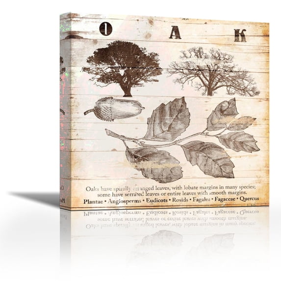 All About Oak - Contemporary Fine Art Giclee on Canvas Gallery Wrap - wall décor - Art painting - 24 x 24 Inch - Ready to Hang