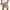 03# Khaki, variant on HKYNLAG Pacificozy Men's Shorts, Casual Corduroy Drawstring Elastic Waist Mokaloha Short, Summer Loose Fit Beach Shorts with Pockets Khaki S