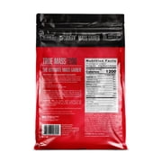 BSN Truemass 1200, Chocolate, 10lb