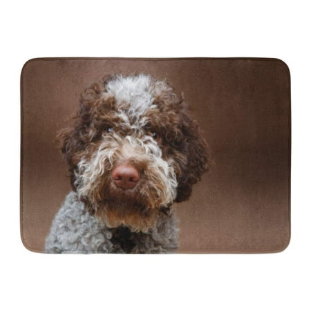 GODPOK Best Pink Adorable Beautiful Brown Fluffy Puppy Red Animal Breed Rug Doormat Bath Mat 23.6x15.7 (Best Animal Breeding Games)