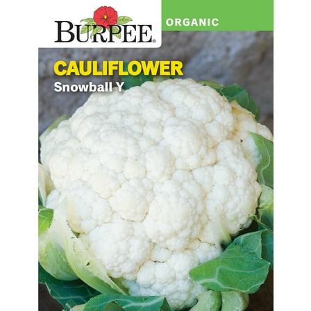 Burpee Organic Snowball Y Cauliflower Seed, Annual Vegetable, Full Sun
