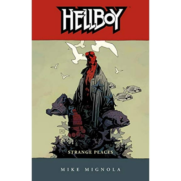 Pre-Owned Hellboy Volume 6: Strange Places (Paperback) 1593074751 9781593074753