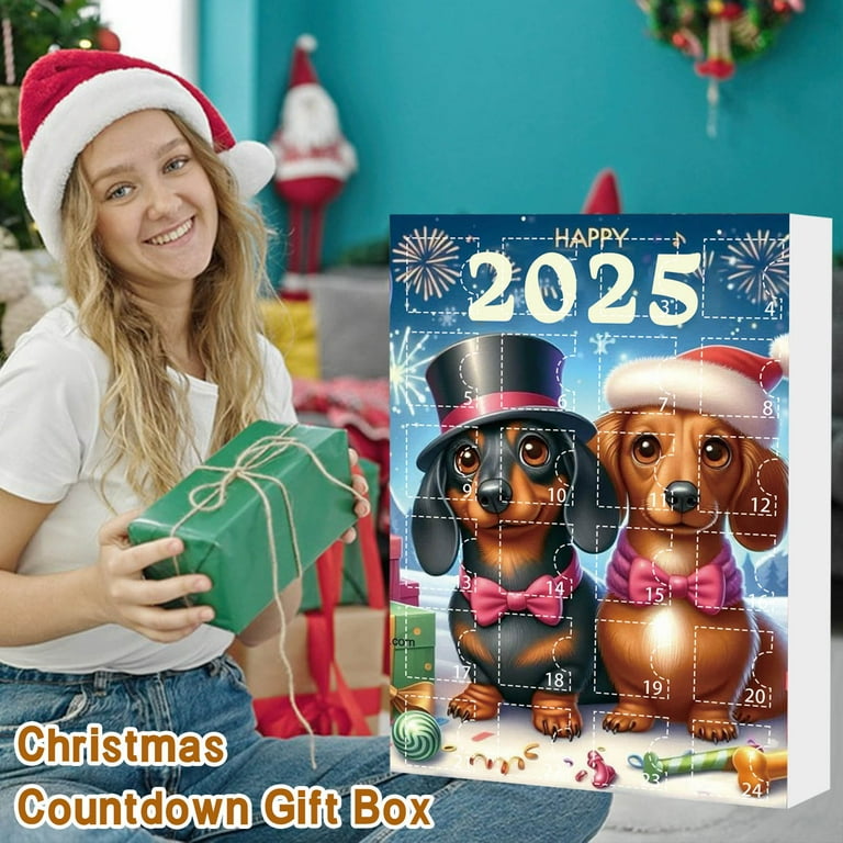 Kerst 2024 Kerst sneeuwpop Kerstman Countdown tot Kerstmis kalender NIEUW hanger decoratie hangende kerstkalender 25 dagen spiegel rond zwart lederen band (wit, 30 x 30 x 2