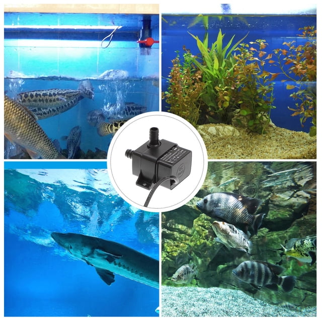 unbranded Fountain Water Pump Silenciosa Con Consumo Para Acuarios Y Fuentes Color Negro
