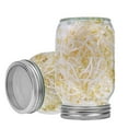 thumbnail image 4 of Mistaha Sprouting Kit, 2 Pieces Seed Sprouting Jar Kit, 2 Wide Mouth Quart Mason Jars, 4 of 7