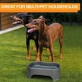 thumbnail image 3 of Neater Pets Giant Bowl for Large Dogs - Plastic Trough Style Food or Water Bowl, Gunmetal, 2.25 Gallon (288 oz.), 3 of 12