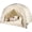 Khaki, variant on Bed Tents for Kids and Adult, Portable 100% Breathable and 93% Blackout Toddler Dream Play Tent, 3 Doors Big Privacy Space Sleeping Canopy for Floor or Twin Full Queen Sizes Bed (Black, Twin-Size)