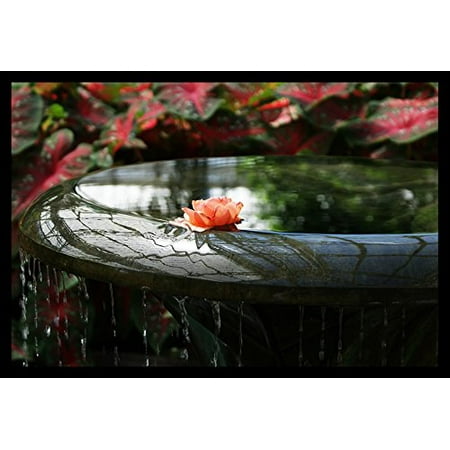 Garden Wall Water Fountain - FRAMED Rose Fountain by Wall Decor Prints 18x12 Art Print Poster Wall Decor Garden Fountain Rose Sun Light Flowers Greenery Water