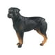 thumbnail image 2 of Estatuilla de perro Hugo Realista Rottweiler figura de acción pintada a mano, 2 of 10