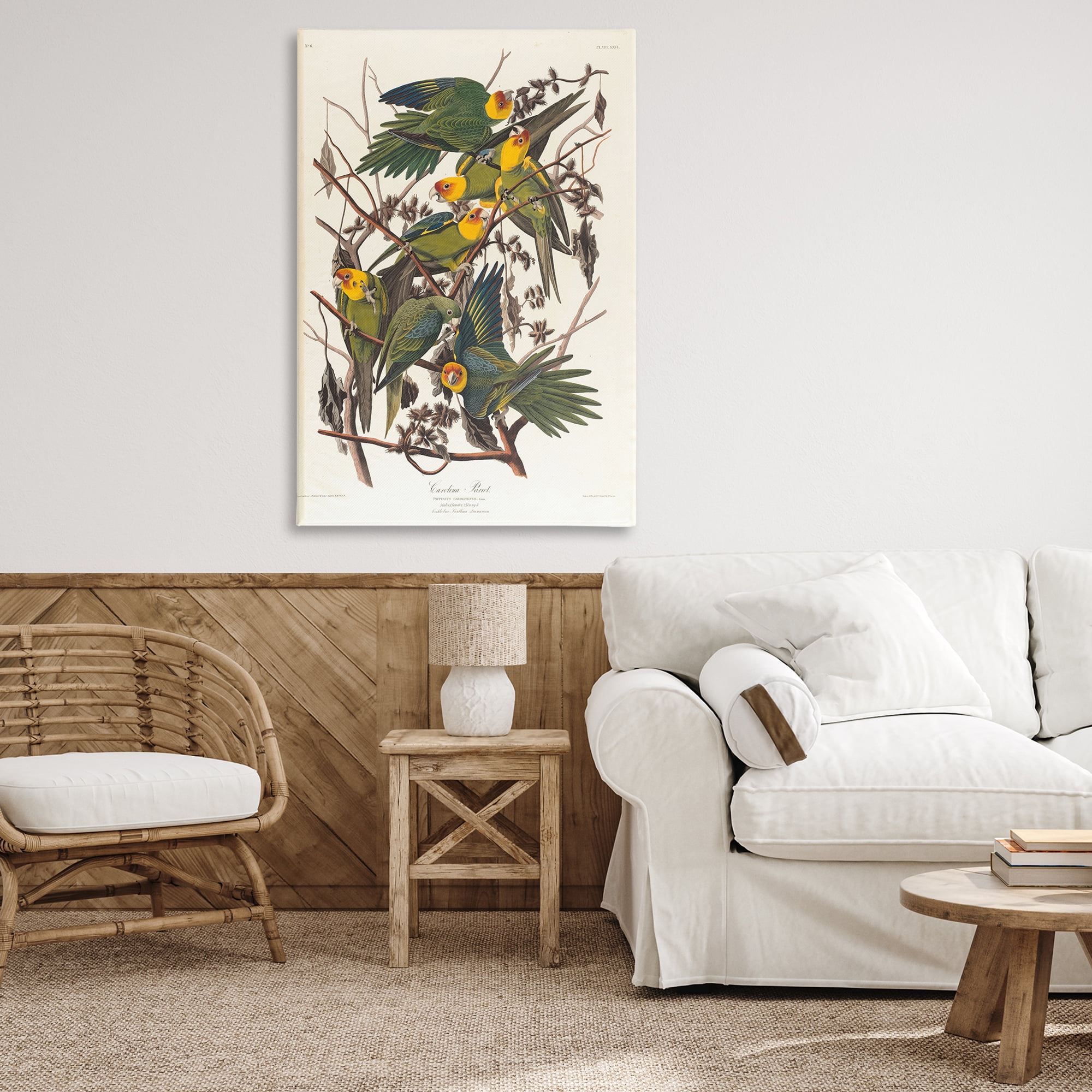 Stupell Industries Classic Carolina Parrot Study Animals Painting Wrapped Canvas Art Print Wall Art, 30 x 45