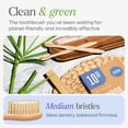 thumbnail image 2 of Cepillo de dientes VIVAGO Bamboo Medium Bristles 30 unidades para adultos, 2 of 5