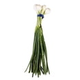 thumbnail image 3 of Cebollitas cambray por manojo, 3 of 4