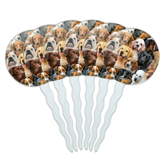 Dogs Lab Retriever Dachshund Poodle Pattern Cupcake Picks Toppers Decoration Set of 6