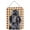 Black, variant on Black Standard Poodle Fall Leaves Aluminum Metal Wall Or Door Hanging Prints - Black - 12 x 0.02 x 16 in.