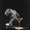 Leopard Skateboard Martini, variant on UXIEQU Floral Bouquet Still Life Canvas Wall Art 15.75x11.81 Inches