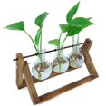 thumbnail image 1 of Terrario De Plantas, Macetero De Vidrio Para Colgar En La Pared Con Soporte De Madera Estación De Propagación De Mesa Florero De Bombilla Soporte Giratorio De Metal Estante Retro Con Florero, 1 of 5