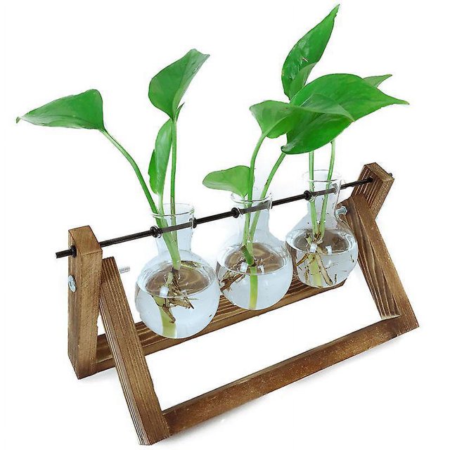 Terrario De Plantas, Macetero De Vidrio Para Colgar En La Pared Con Soporte De Madera Estación De Propagación De Mesa Florero De Bombilla Soporte Giratorio De Metal Estante Retro Con Florero