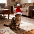 thumbnail image 7 of Adjustable Pet Santa Hat Christmas for Cats Dogs,7.8Inch Soft Plush Red Santa Hat with Pom Pom, Holiday Party Outfit for Small Dogs Cats, Christmas Photo Prop Accessory 1PC, 7 of 7