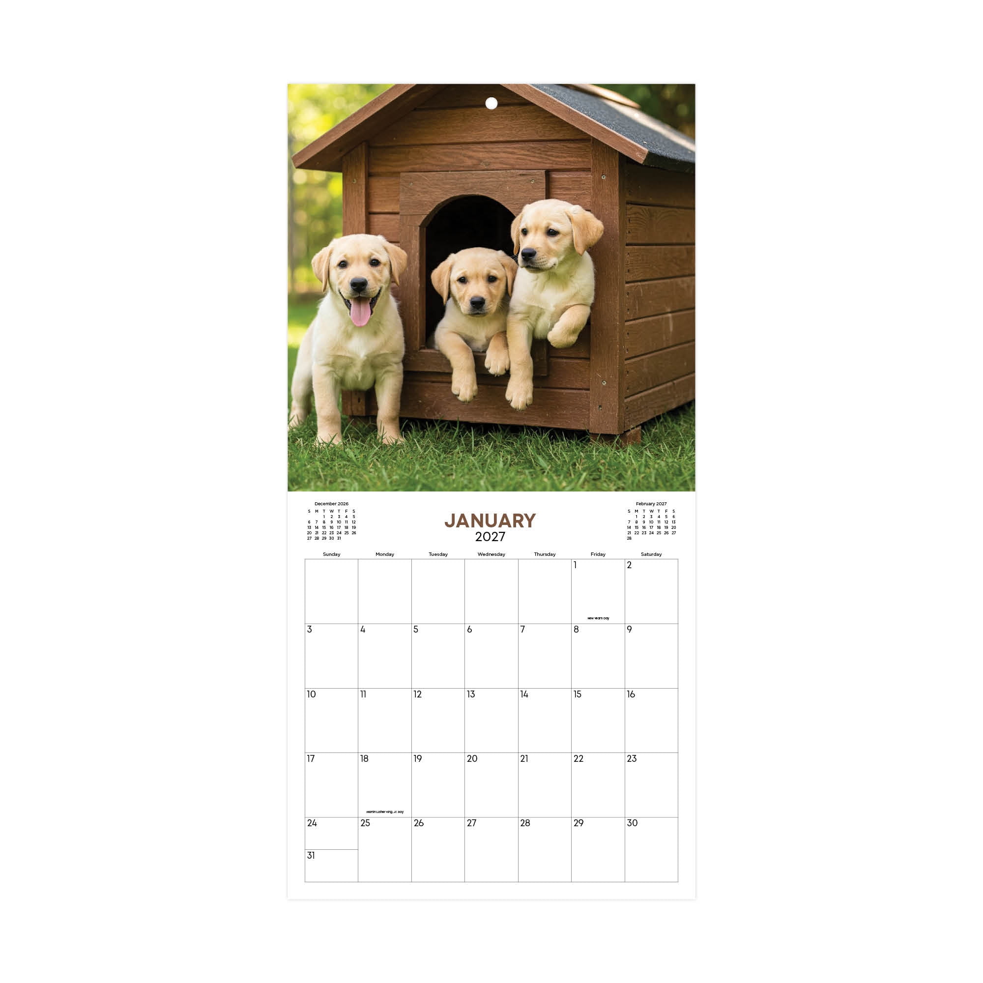 Blue Sky Monthly Stapled Calendar 12" x 12" Puppies (Jan 2027 - Dec 2027)