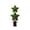 Green, variant on Two Star Shaped Artificial Topiary Plant Patriotic Themed Decor for Indoor Outdoor Holiday Celebration Centerpiece Display