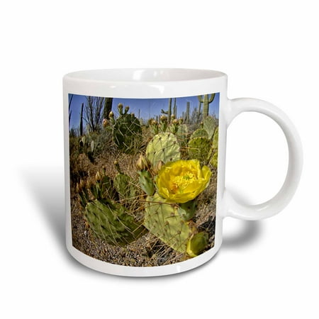 3dRose Cactus with Yellow flower on East Saguaro National Park in Arizona - Ceramic Mug,