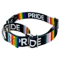 thumbnail image 5 of Country Brook Petz® Pride Martingale Dog Collar and Leash, 2XS, 5 of 6