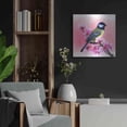 thumbnail image 4 of Luxe Metal Art 'Spring Bird 3A' by Ata Alishahi, Metal Wall Art, 24"x24", 4 of 8