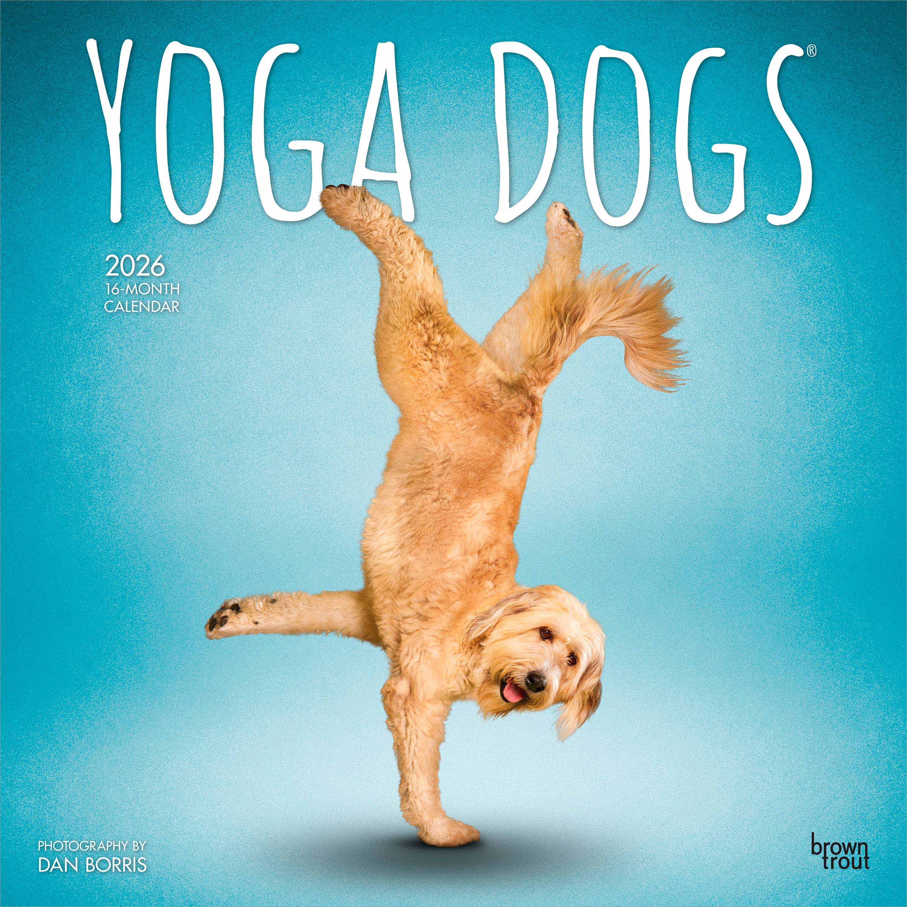 Yoga Chiens 2026 Carré