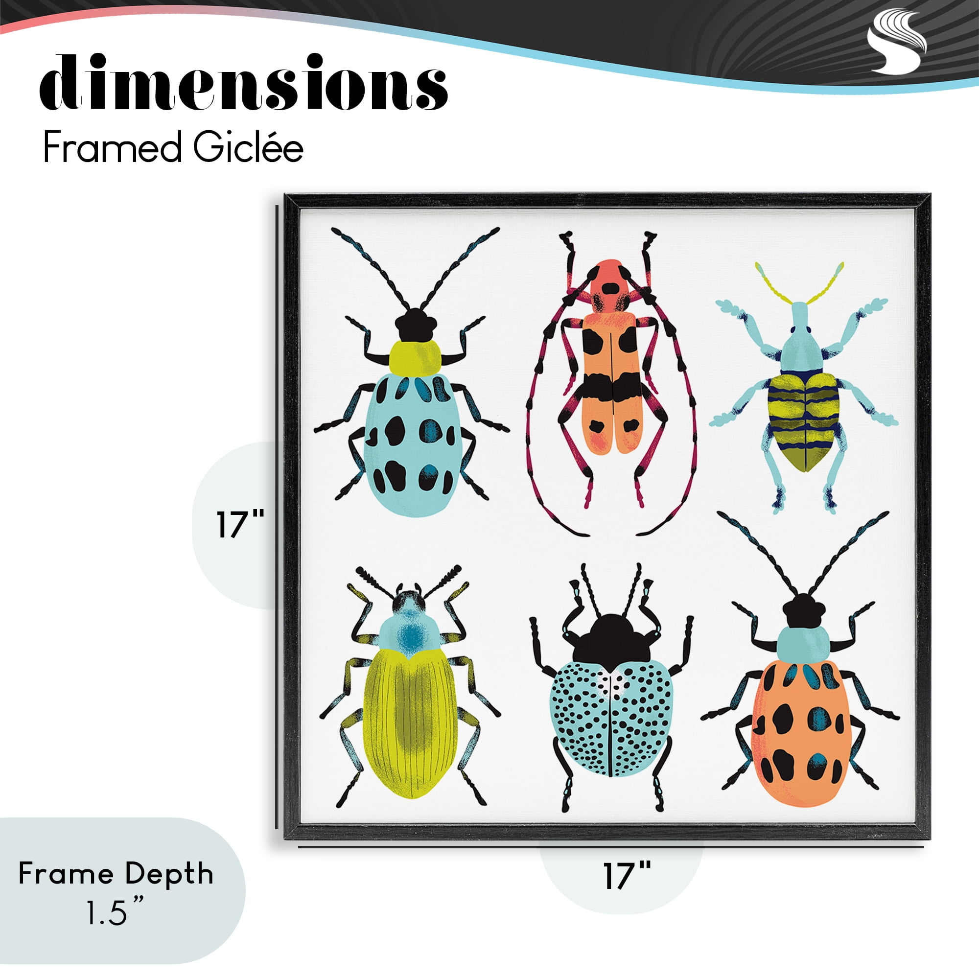 Stupell Industries Beetles & Bugs Collection Black Framed Giclee Art, design by Metka Hiti