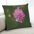 thumbnail image 1 of Ahgly Company Plants Flower Indoor Throw Pillow, 18 inch by 18 inch, 1 of 6