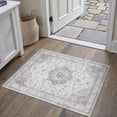 thumbnail image 3 of BERTHMEER 2'x3' Small Gray Area Rugs for Entryway Bathroom Bedroom Kitchen Dorm Entrance Non Slip Washable Vintage Traditional Carpets Oriental Accent Distressed Doormats, 3 of 6