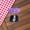 D, variant on Pendant Clothes Fashionable And Mart Doll Clothing Accessories (Clothes Doll Not Included) Turntable Headphone Amp Airplay Speaker Amp Mini Plates for Dolls Dolls Cactus 3w Audio Amp K5 Pro Amp Amp