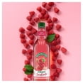 thumbnail image 2 of Robinsons Raspberry, Rhubarb & Orange Blossom Fruit Cordial 500ml, Imported from Britain, 2 of 2