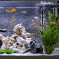 thumbnail image 5 of (60 l, 50 W) Aquarium heater - Adjustable thermostat - With 2 suction cups, 5 of 5