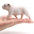 thumbnail image 2 of Figurine de Simulation Modèle PVC 1 Pce Ornement pour Chien Animal Solide Statique Décoration de Bureau (Bouledogue Debout), 2 of 8