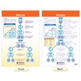 thumbnail image 2 of Conjunto de gráficos en tablón de anuncios NewPath Learning Genetics x4, 2 of 5