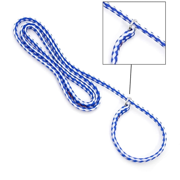 Jeffers Pet Animal Control Dog Leads, 6 Ft Slip Rope Leash, Safe Durable Braided Poly Rope with Nickel Ring, Lightweight Training Lead for Travel, Rescue, Kennel, House & Walking - Light Blue