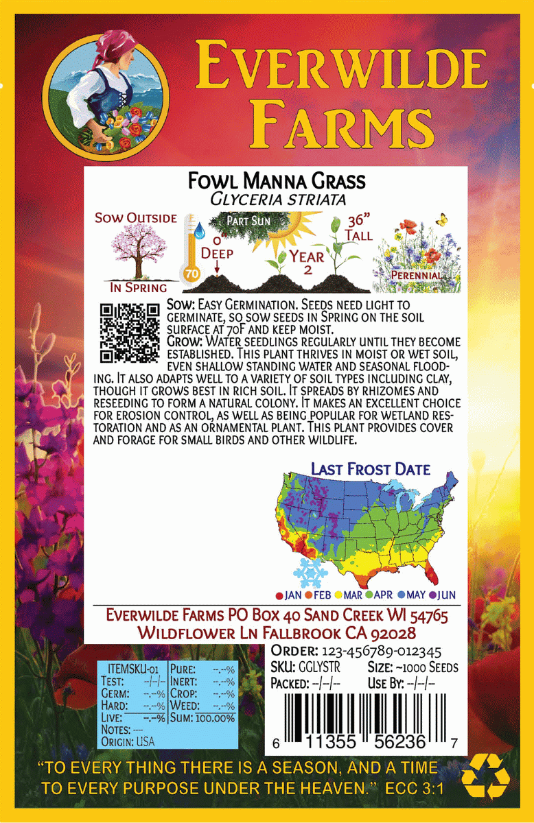 Everwilde Farms - 1/4 lb Fowl Manna Grass Native Grass Seeds - Gold Vault Bulk Seed Packet