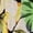 Yellow, variant on Women's Slim Fit Floral Print Dress, Summer V-Neck Dress, Vacation Style
