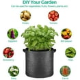 thumbnail image 4 of T4U Fabric Plant Grow Bags with Handles, Heavy Duty Nonwoven Smart Garden Pots, 10 Gallon, Black, Set of 5, 4 of 9