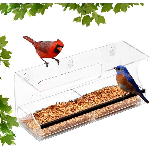 Ashman Window Bird Feeders. (Deluxe, 1 Pack)