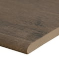 thumbnail image 4 of Lucas Betula Brown 13 in. x 24 in. Matte Porcelain Pool Coping (4.33 sq. ft. / case), 4 of 5